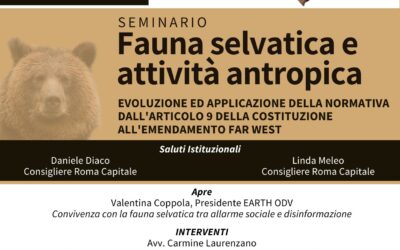WORKSHOP: FAUNA SELVATICA E ATTIVITA’ ANTROPICA-  Roma, 18 giugno 2025 presso Palazzo Senatorio in Campidoglio