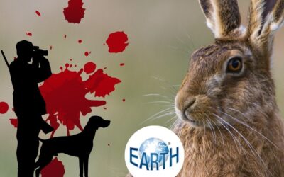 EARTH ODV è con Fondazione Capellino: perché “Niente giustifica la caccia”