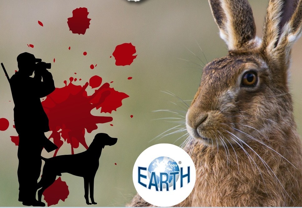 EARTH ODV è con Fondazione Capellino: perché “Niente giustifica la caccia”