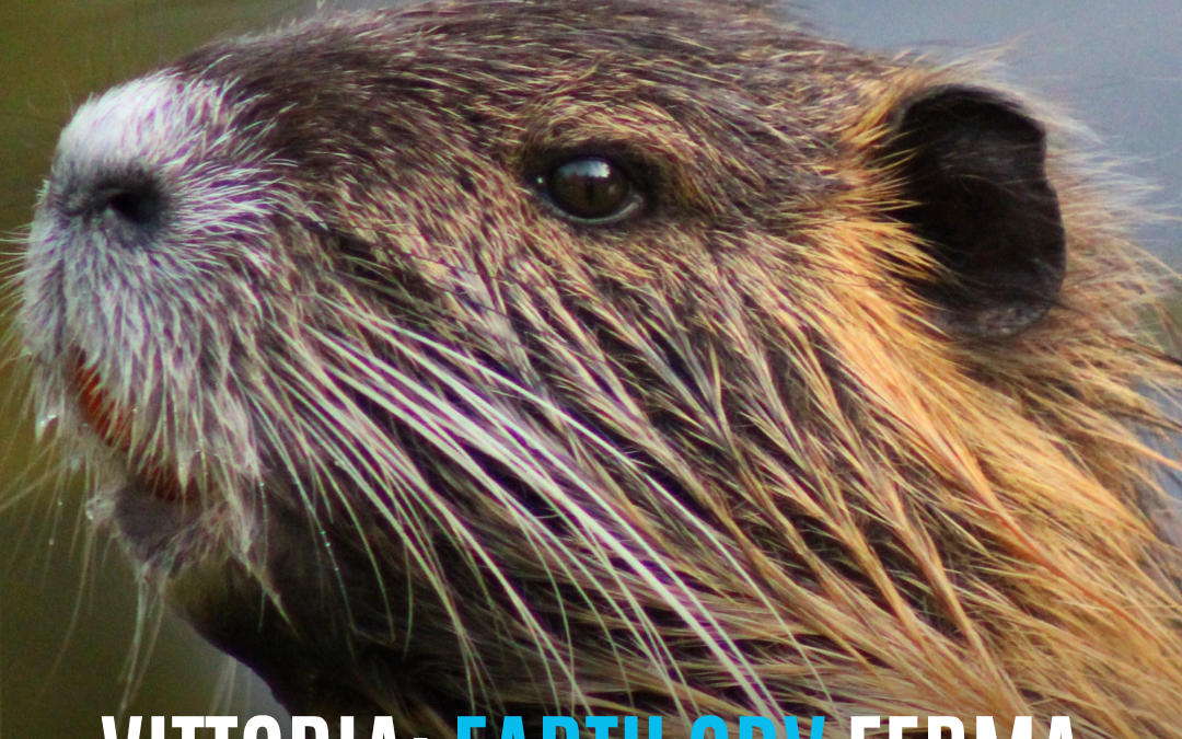 EARTH ODV FERMA L’ABBATTIMENTO DELLE NUTRIE