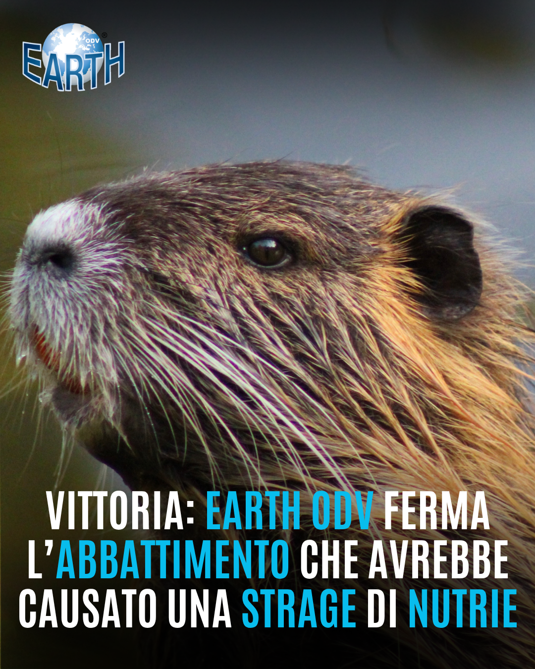 EARTH ODV FERMA L’ABBATTIMENTO DELLE NUTRIE