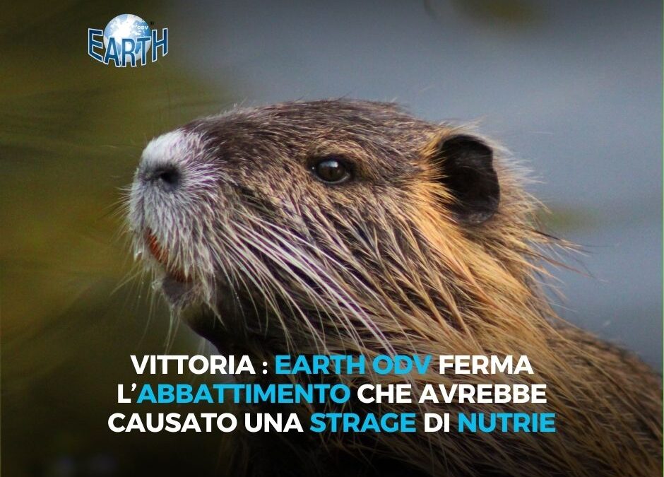 EARTH ODV FERMA L’ABBATTIMENTO DELLE NUTRIE