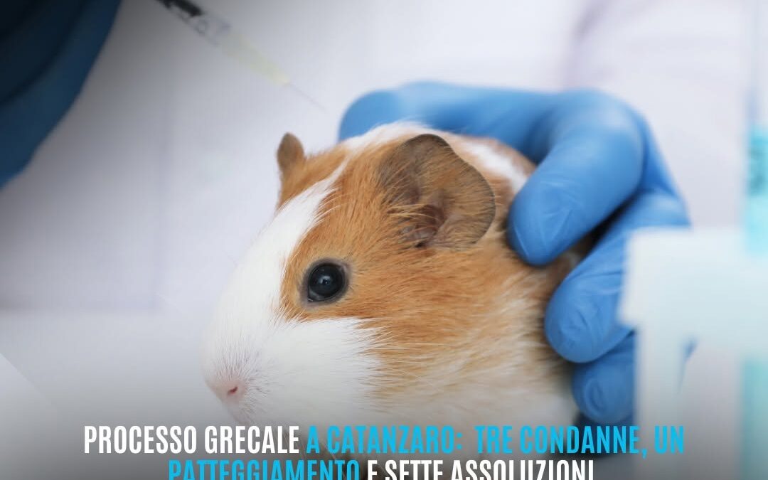 PROCESSO PER ILLECITI NELLA GESTIONE DI DUE LABORATORI CON CAVIE VIVE ALL’UNIVERSITÀ MAGNA GRAECIA DI CATANZARO