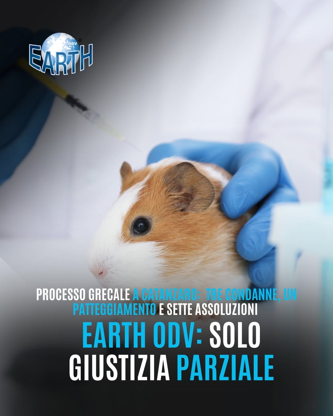 PROCESSO PER ILLECITI NELLA GESTIONE DI DUE LABORATORI CON CAVIE VIVE ALL’UNIVERSITÀ MAGNA GRAECIA DI CATANZARO
