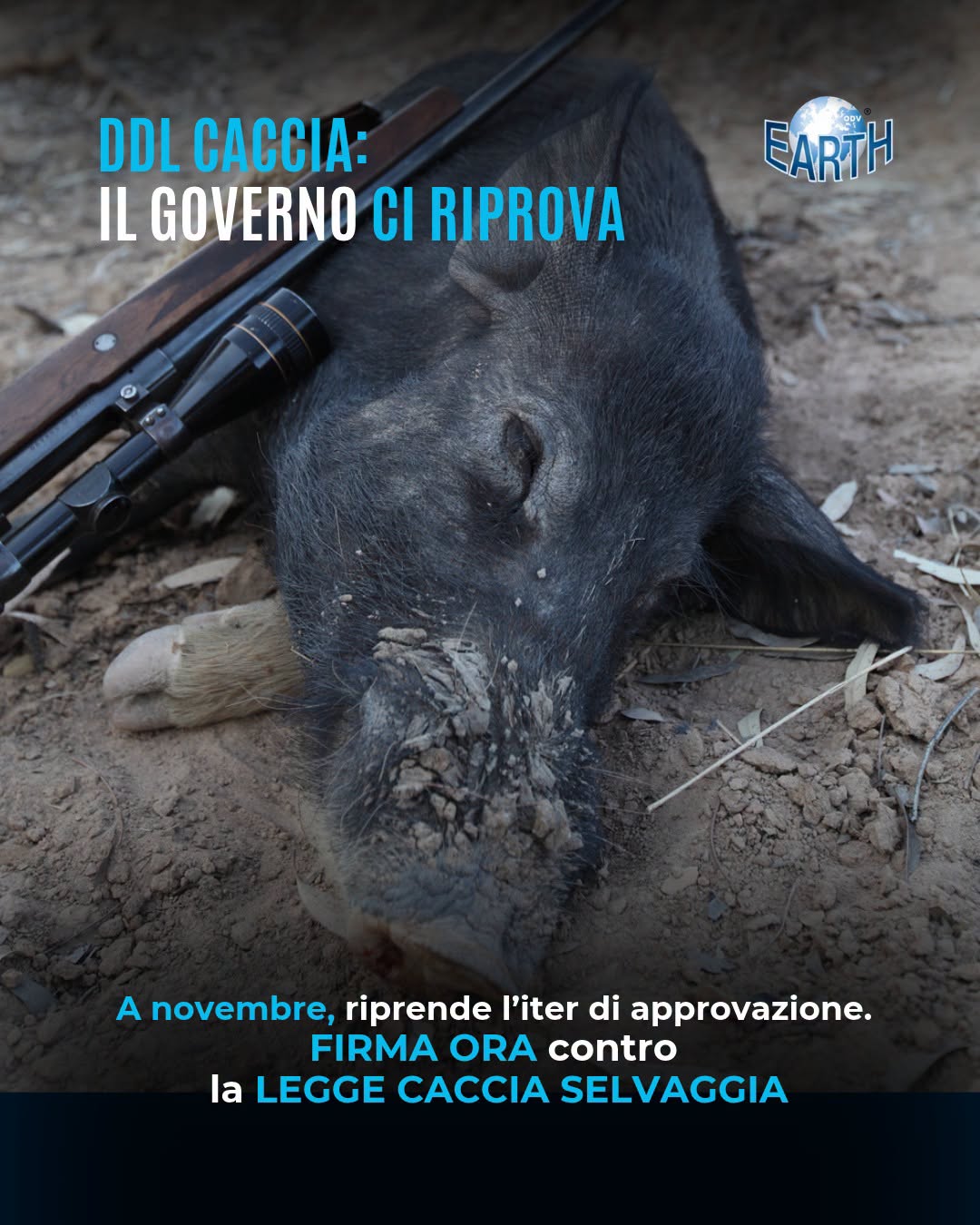 DDL CACCIA: IL GOVERNO CI RIPROVA