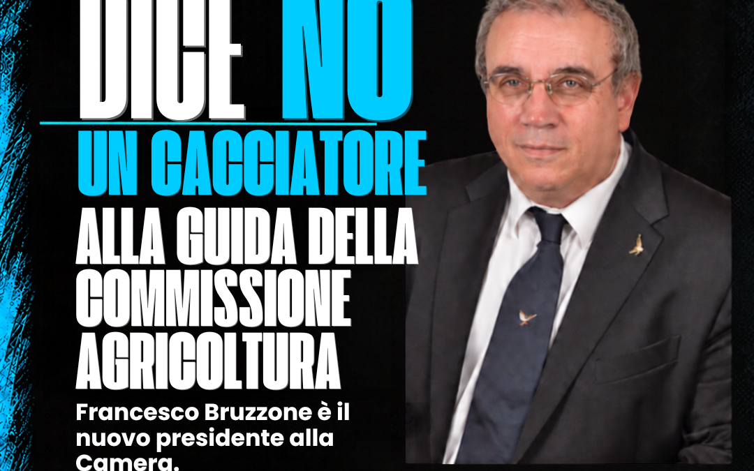 L’ON. BRUZZONE, CACCIATORE, ORA PRESIEDE LA COMMISSIONE CHE ESAMINA LA RIFORMA SULLA CACCIA GIÀ APPROVATA DAL SENATO