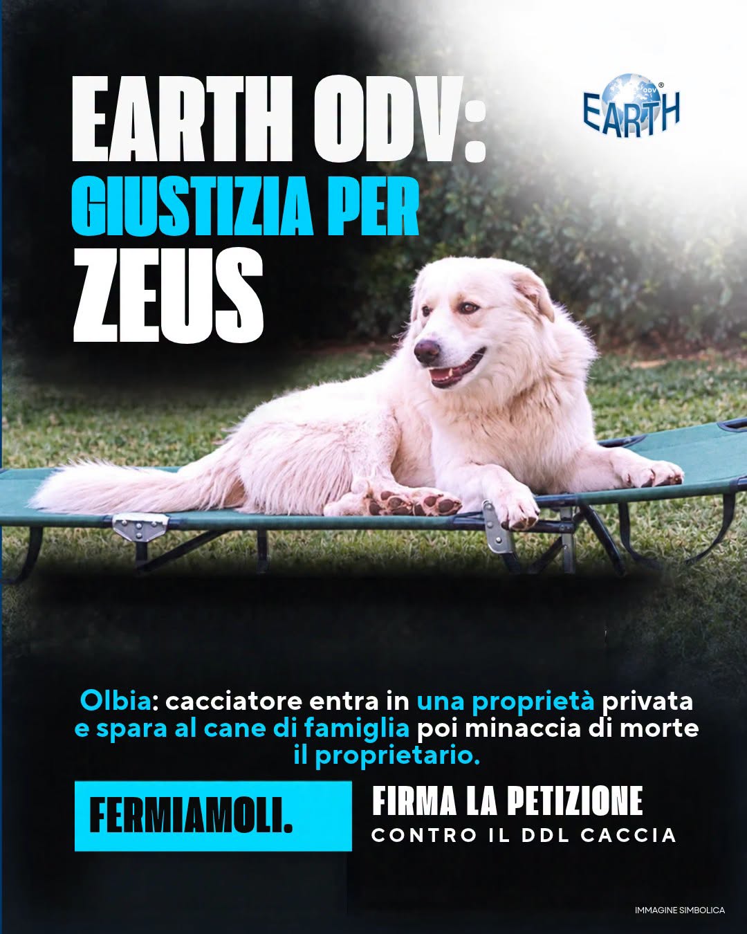 OLBIA: CACCIATORE ENTRA IN UNA PROPRIETÀ PRIVATA, SPARA AL CANE DI FAMIGLIA E MINACCIA DI MORTE IL PROPRIETARIO