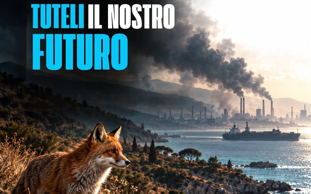 IL COSTO AMBIENTALE DELLE GUERRE RIGUARDA ANCHE L’ITALIA
