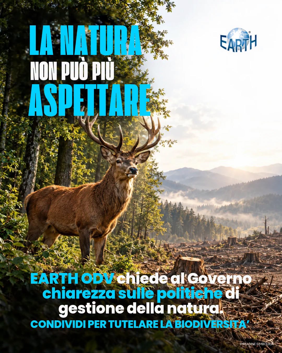 LA NATURA NON PUÒ PIÙ ASPETTARE