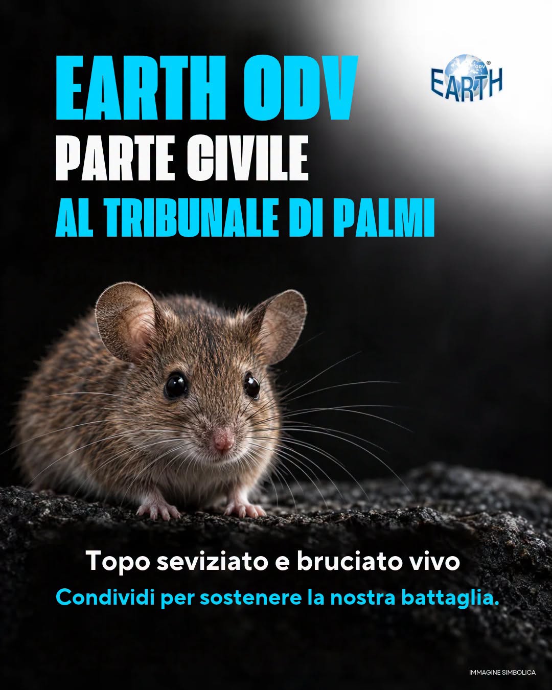 TOPO BRUCIATO VIVO: EARTH ODV PARTE CIVILE AL TRIBUNALE DI PALMI