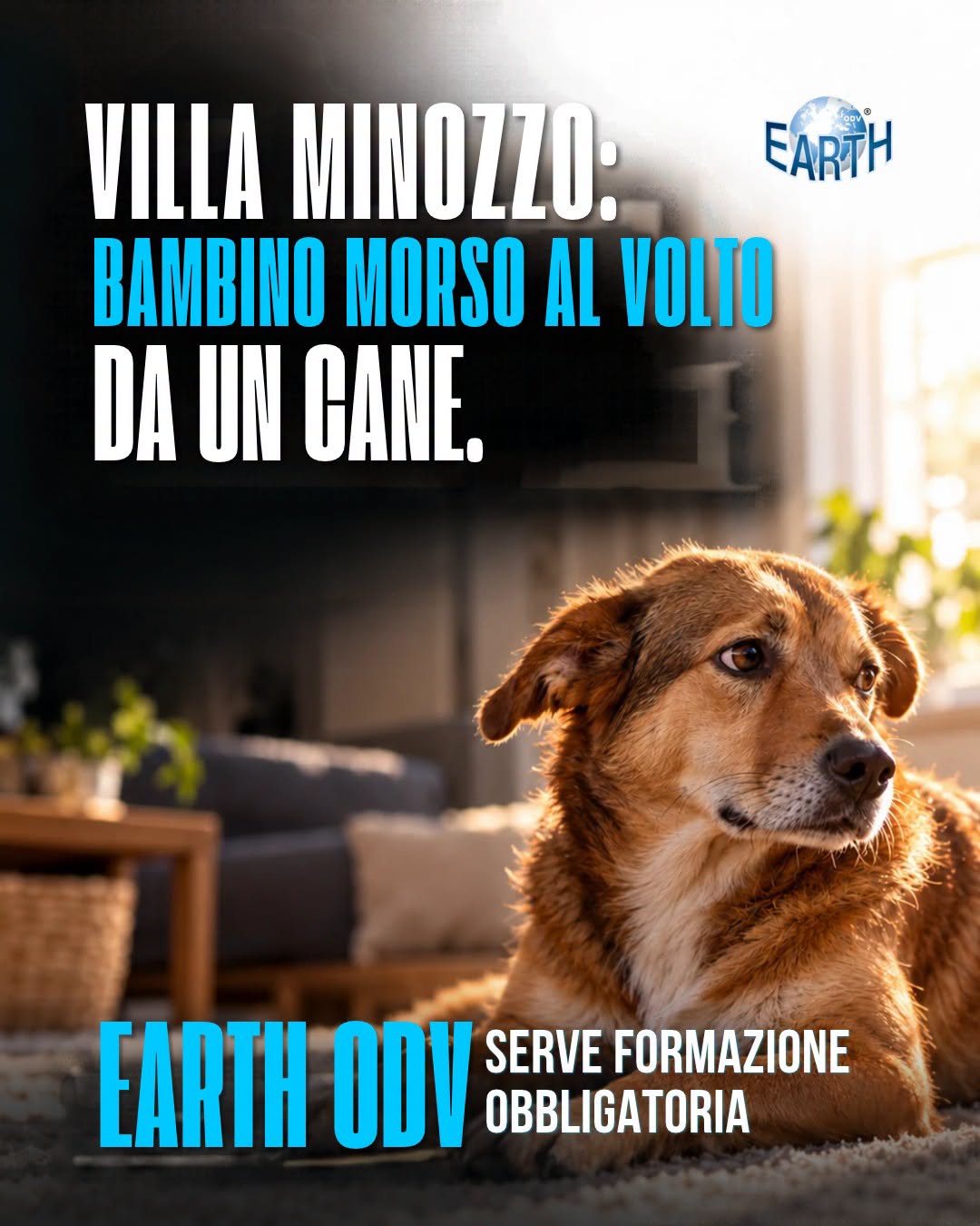 EARTH ODV: PREVENIRE I MORSI SIGNIFICA FORMARE LE PERSONE