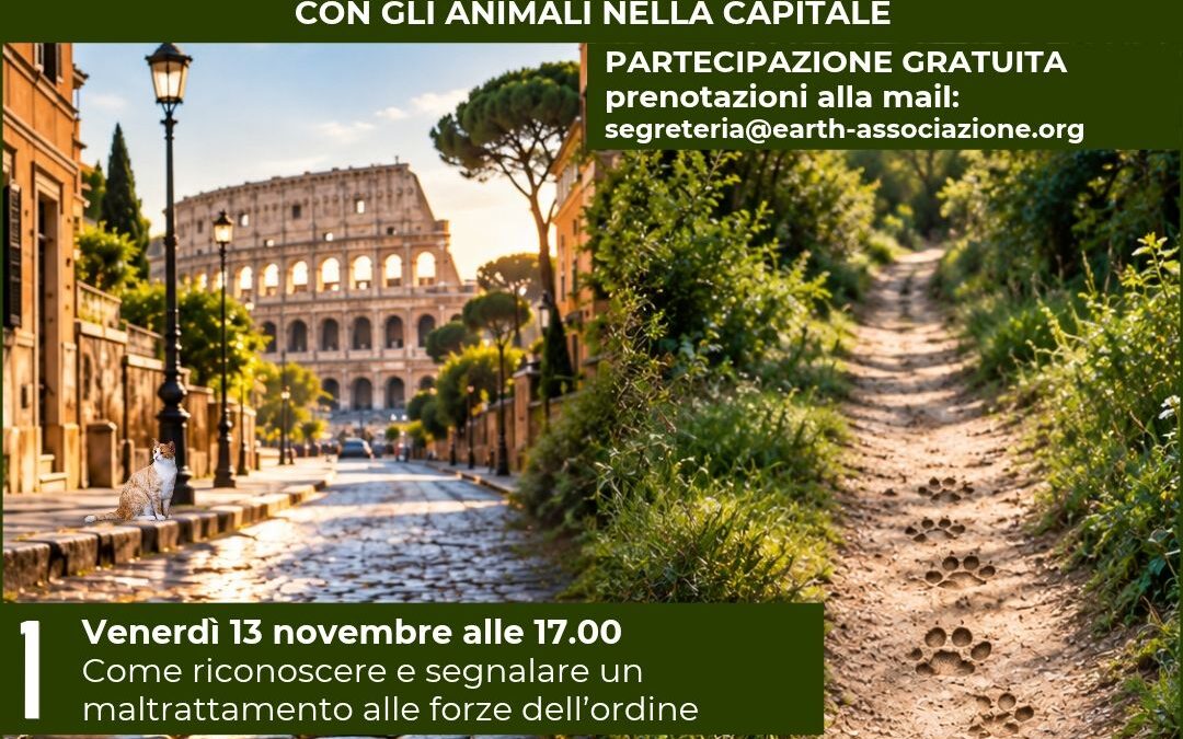 IMPRONTE ROMANE – 3 WORKSHOP