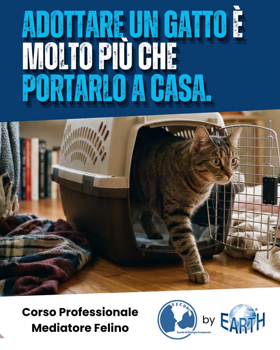 CORSO PROFESSIONALE ON-DEMAND PER MEDIATORE FELINO
